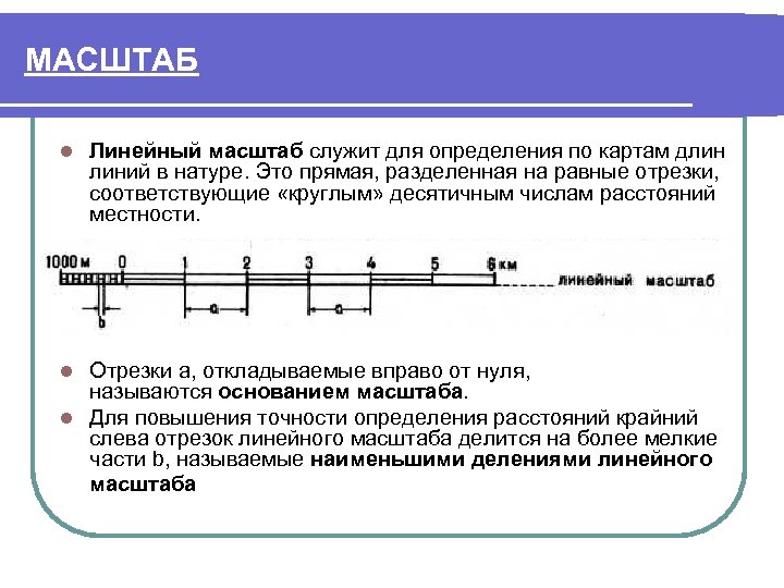 Отрезок на местности длиной