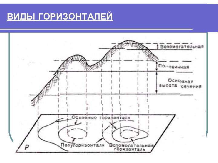 ВИДЫ ГОРИЗОНТАЛЕЙ 