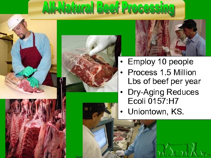  • Employ 10 people • Process 1. 5 Million Lbs of beef per