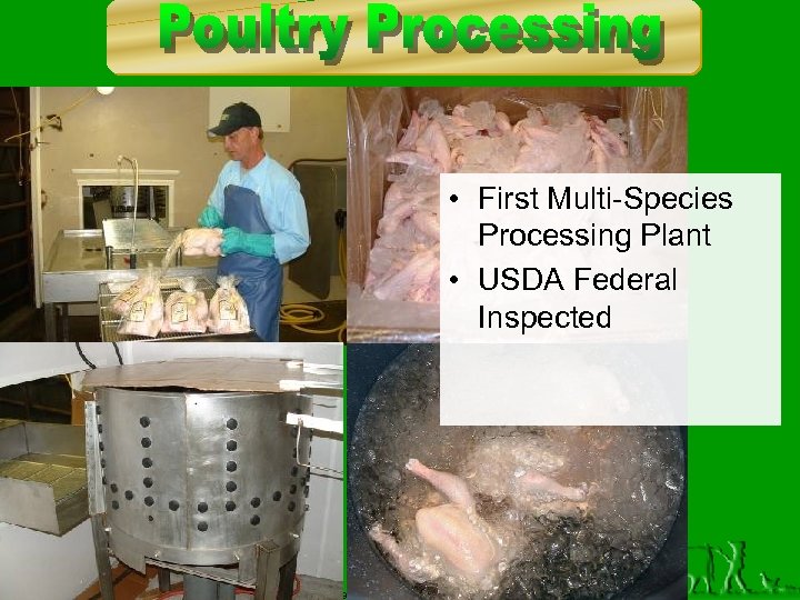  • First Multi-Species Processing Plant • USDA Federal Inspected Copyright 2008, Diana Endicott