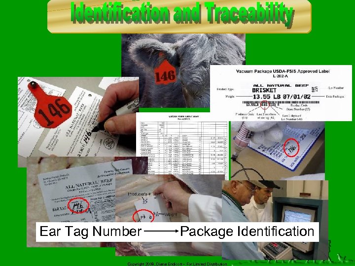Ear Tag Number Package Identification Copyright 2008, Diana Endicott – For Limited Distribution 
