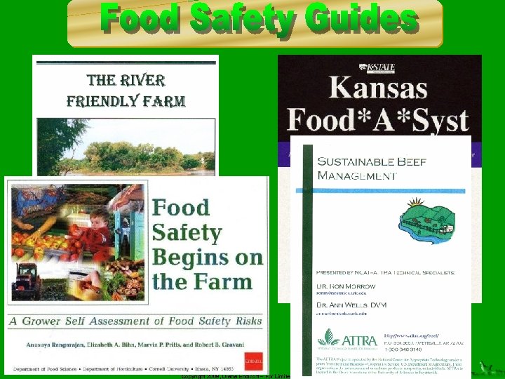 Copyright 2008, Diana Endicott – For Limited Distribution 