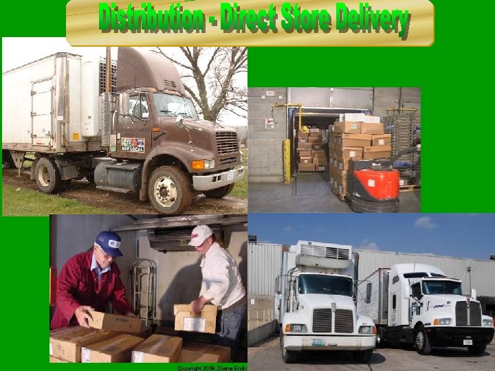 Copyright 2008, Diana Endicott – For Limited Distribution 