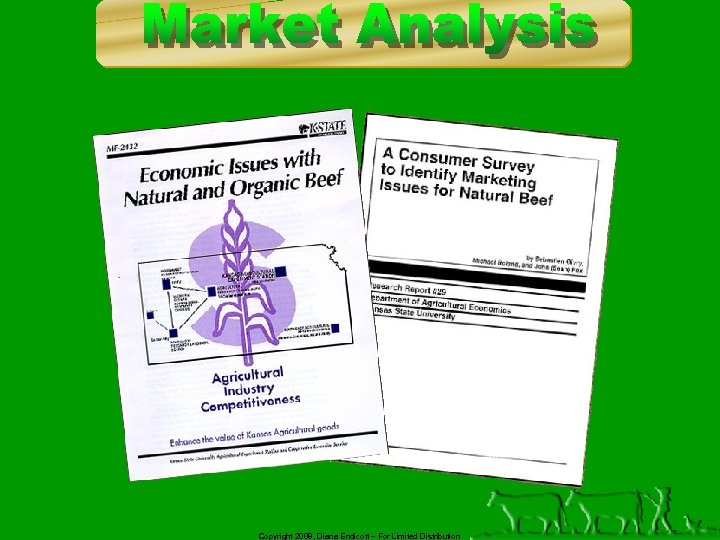 Copyright 2008, Diana Endicott – For Limited Distribution 