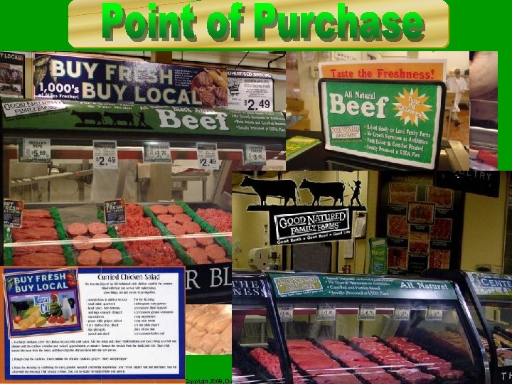 Copyright 2008, Diana Endicott – For Limited Distribution 