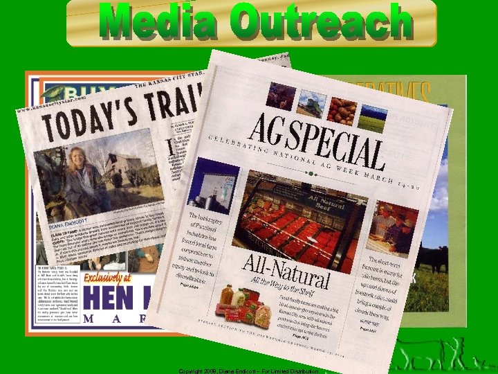 Copyright 2008, Diana Endicott – For Limited Distribution 