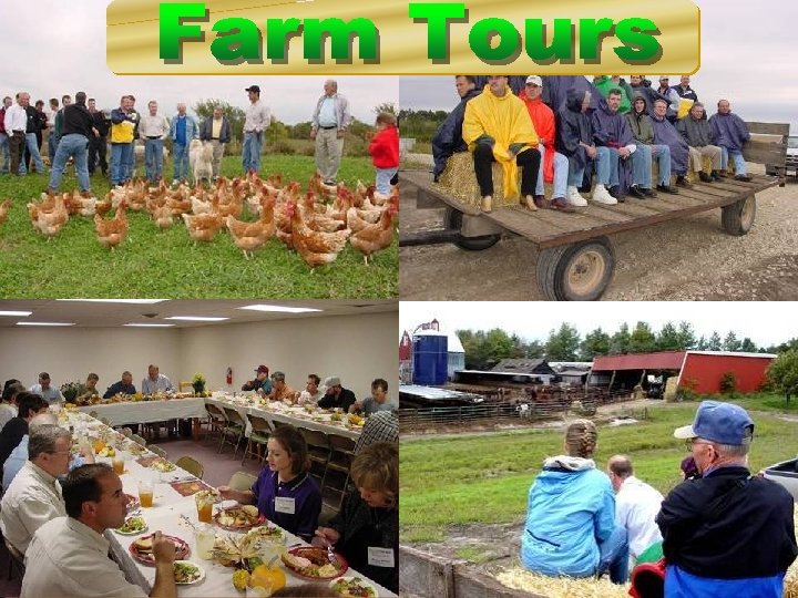 Copyright 2008, Diana Endicott – For Limited Distribution 