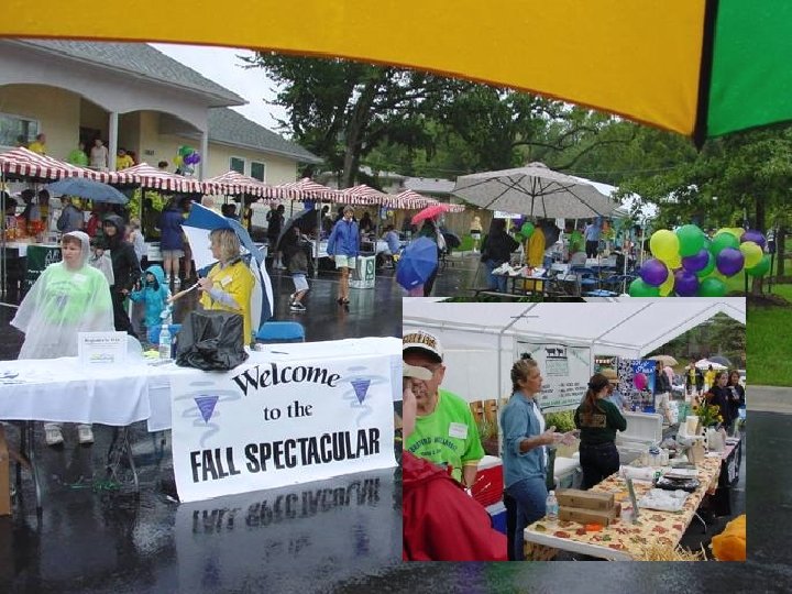 Copyright 2008, Diana Endicott – For Limited Distribution 