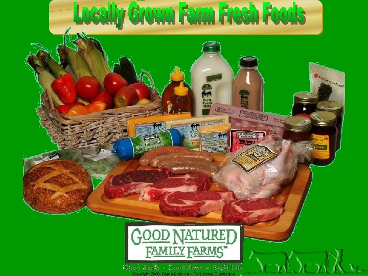 Copyright 2008, Diana Endicott – For Limited Distribution 