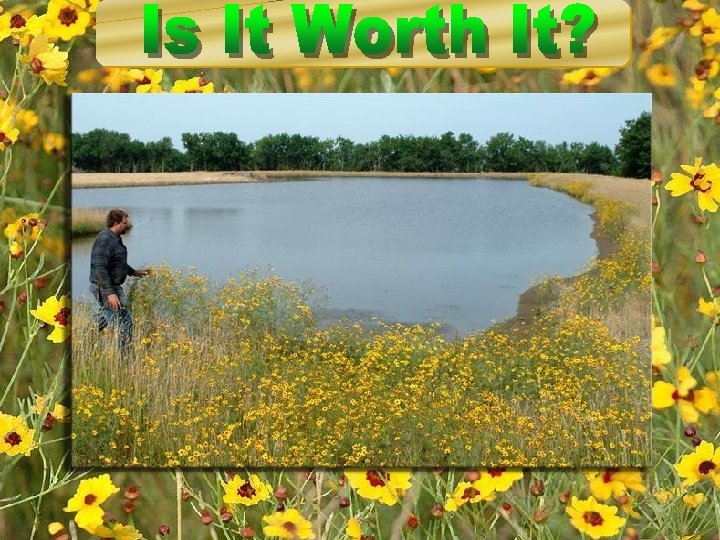 Copyright 2008, Diana Endicott – For Limited Distribution 