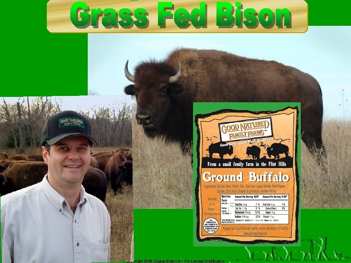 Copyright 2008, Diana Endicott – For Limited Distribution 