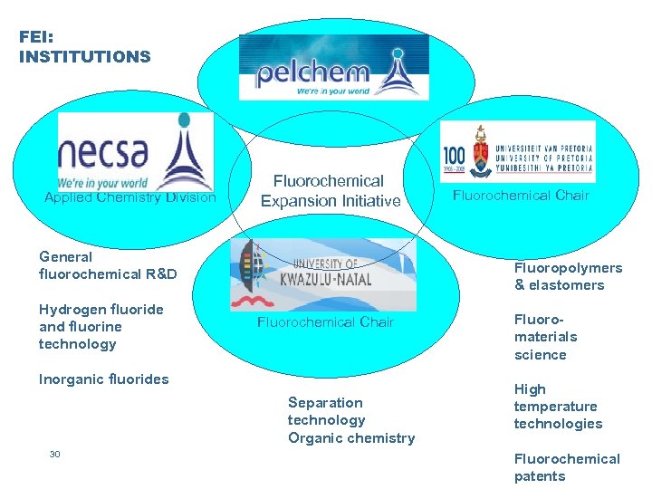 FEI: INSTITUTIONS Pelchem (Pty) Ltd University of Pretoria Applied Chemistry Division Fluorochemical Expansion Initiative