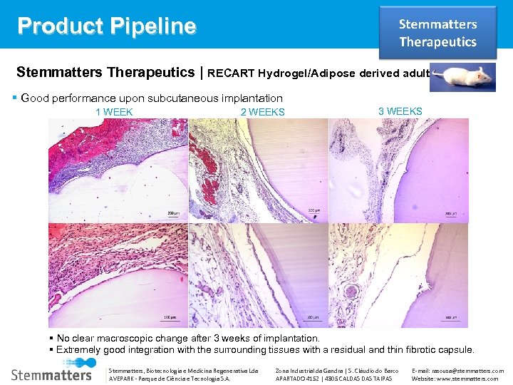 Product Pipeline Stemmatters Therapeutics | RECART Hydrogel/Adipose derived adult stem cells Good performance upon