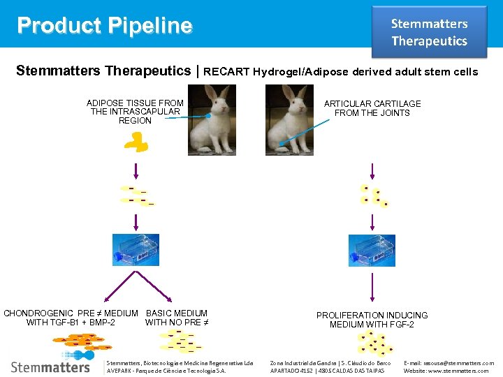 Product Pipeline Stemmatters Therapeutics | RECART Hydrogel/Adipose derived adult stem cells ADIPOSE TISSUE FROM