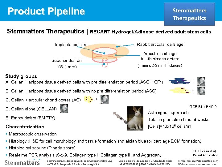 Product Pipeline Stemmatters Therapeutics | RECART Hydrogel/Adipose derived adult stem cells Rabbit articular cartilage
