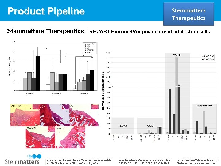 Product Pipeline Stemmatters Therapeutics | RECART Hydrogel/Adipose derived adult stem cells Stemmatters, Biotecnologia e
