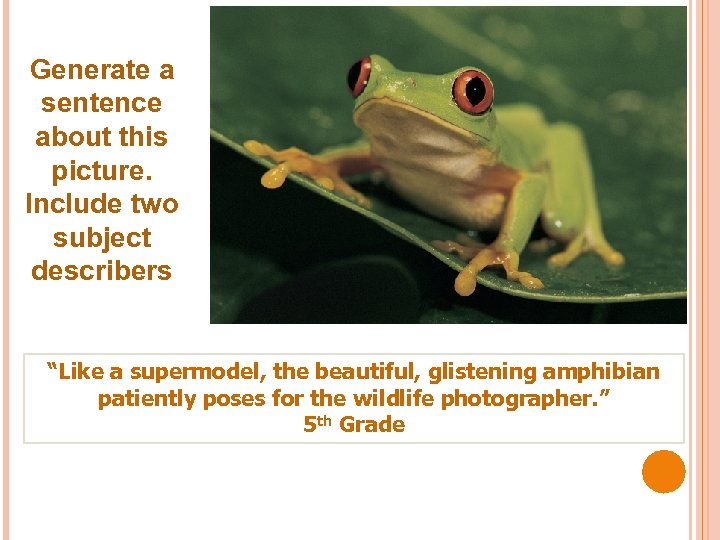 Generate a sentence about this picture. Include two subject describers “Like a supermodel, the