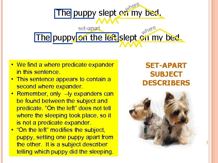 e her w The puppy slept on my bed. set-apart e er wh The