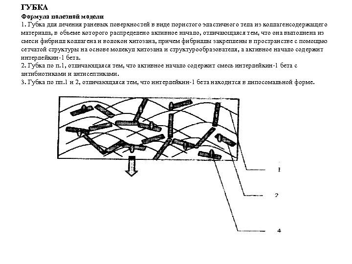 ГУБКА Формула полезной модели 1. Губка для лечения раневых поверхностей в виде пористого эластичного