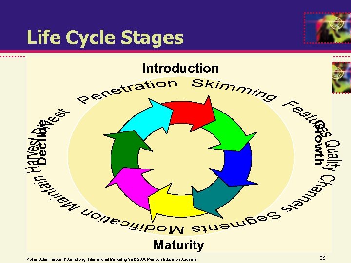 Life Cycle Stages Growth Decline Introduction Maturity Kotler, Adam, Brown & Armstrong: International Marketing
