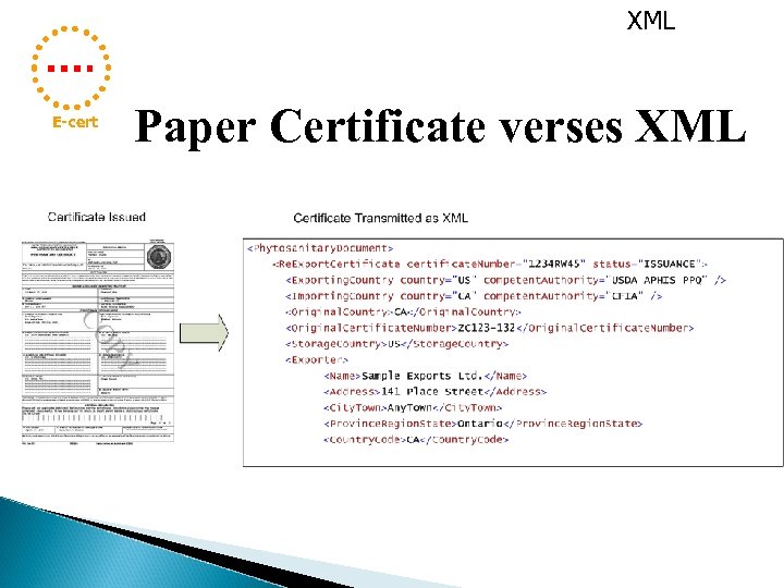 XML E-cert Paper Certificate verses XML 