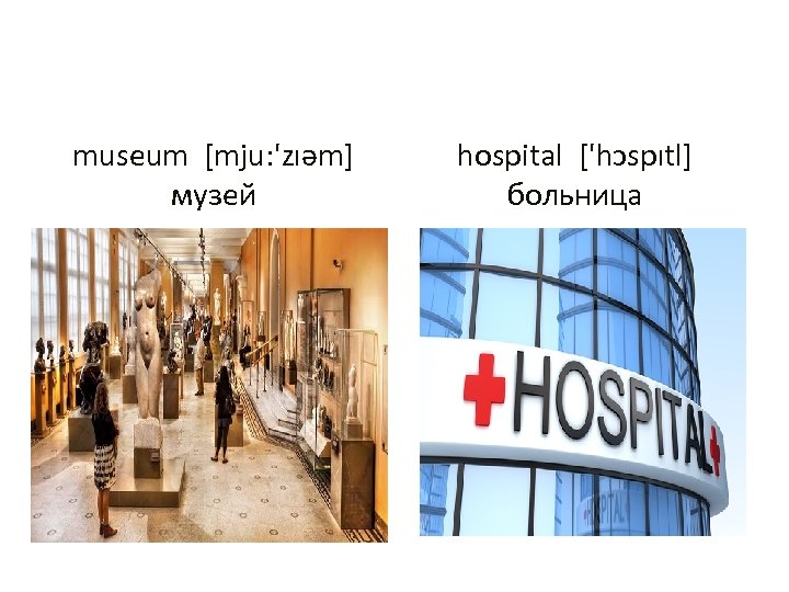 museum [mju: 'zıəm] музей hospital ['hɔspıtl] больница 