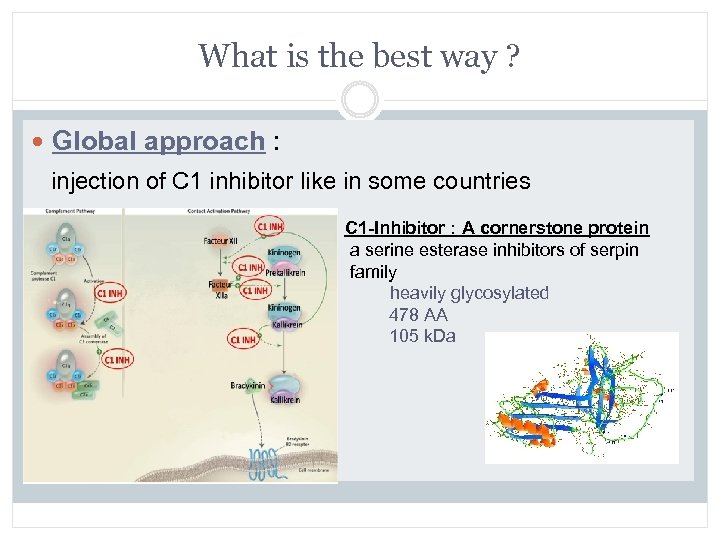 What is the best way ? Global approach : injection of C 1 inhibitor