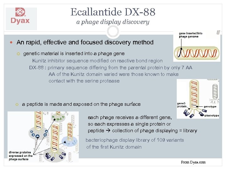 Ecallantide DX-88 a phage display discovery An rapid, effective and focused discovery method genetic