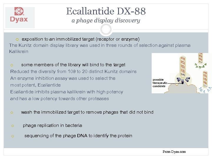 Ecallantide DX-88 a phage display discovery exposition to an immobilized target (receptor or enzyme)