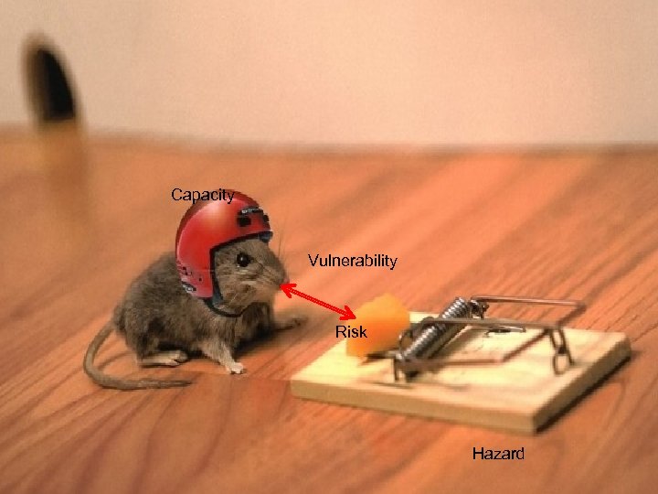 Capacity Vulnerability Risk Hazard 