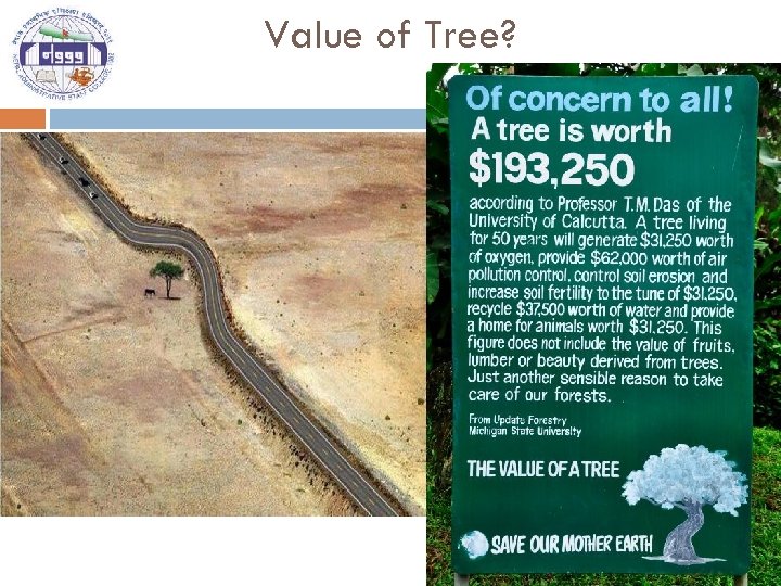 Value of Tree? 