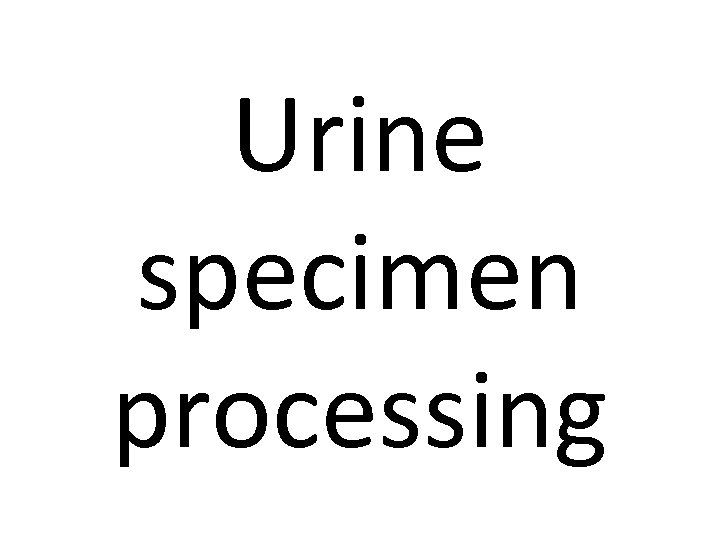 Urine specimen processing 