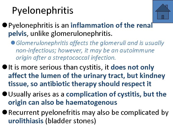 Pyelonephritis l Pyelonephritis is an inflammation of the renal pelvis, unlike glomerulonephritis. l Glomerulonephritis