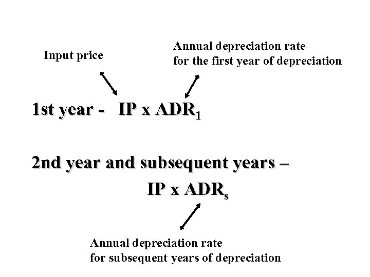 Input price Annual depreciation rate for the first year of depreciation 1 st year