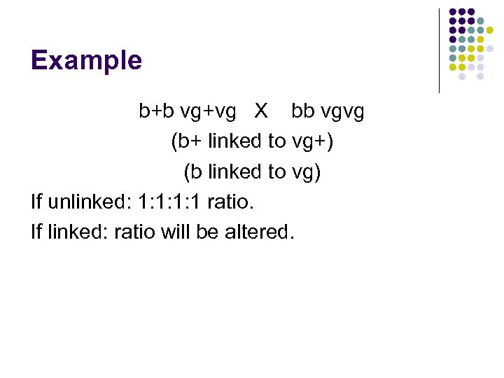 Example b+b vg+vg X bb vgvg (b+ linked to vg+) (b linked to vg)