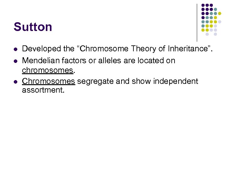 Sutton l l l Developed the “Chromosome Theory of Inheritance”. Mendelian factors or alleles