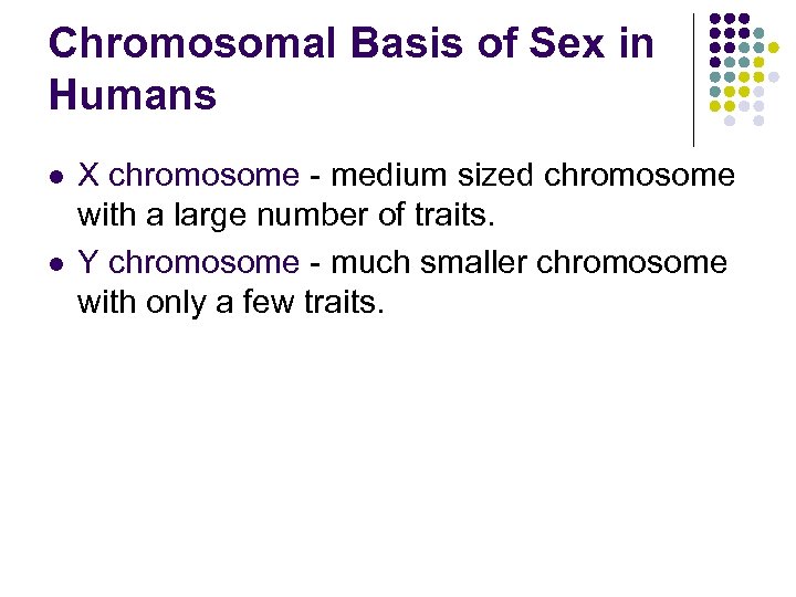 Chromosomal Basis of Sex in Humans l l X chromosome - medium sized chromosome