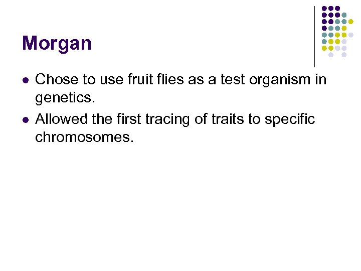 Morgan l l Chose to use fruit flies as a test organism in genetics.