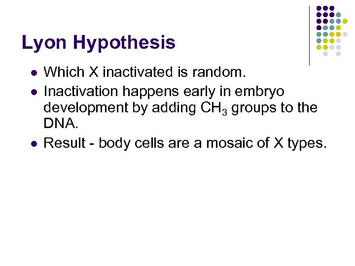 Lyon Hypothesis l l l Which X inactivated is random. Inactivation happens early in