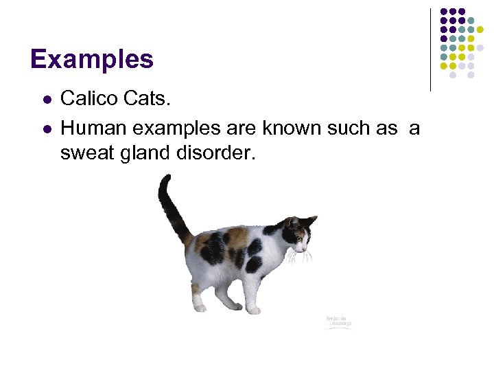 Examples l l Calico Cats. Human examples are known such as a sweat gland