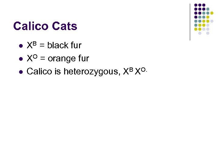 Calico Cats l l l XB = black fur XO = orange fur Calico