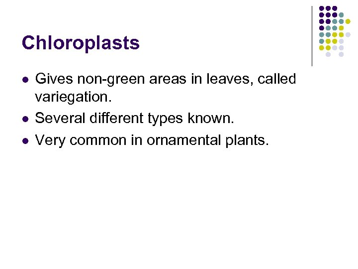 Chloroplasts l l l Gives non-green areas in leaves, called variegation. Several different types