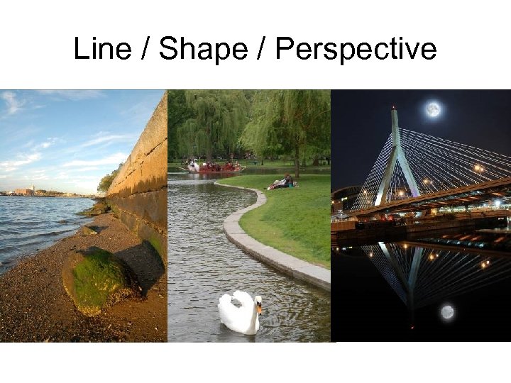 Line / Shape / Perspective 