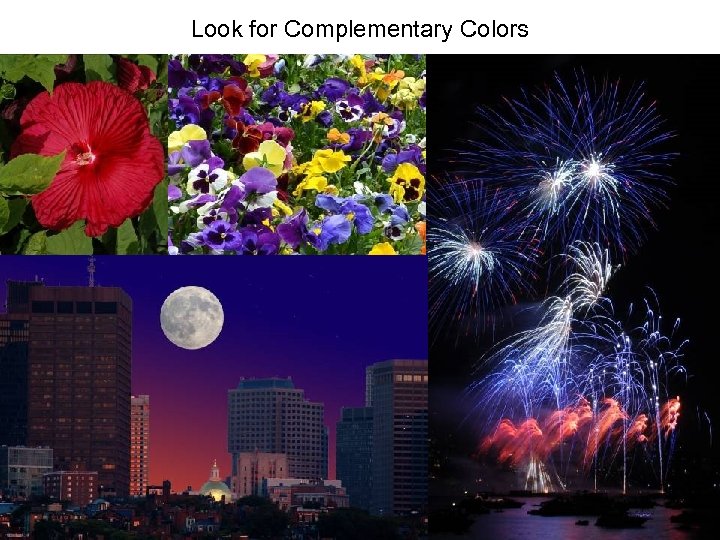 Look for Complementary Colors 