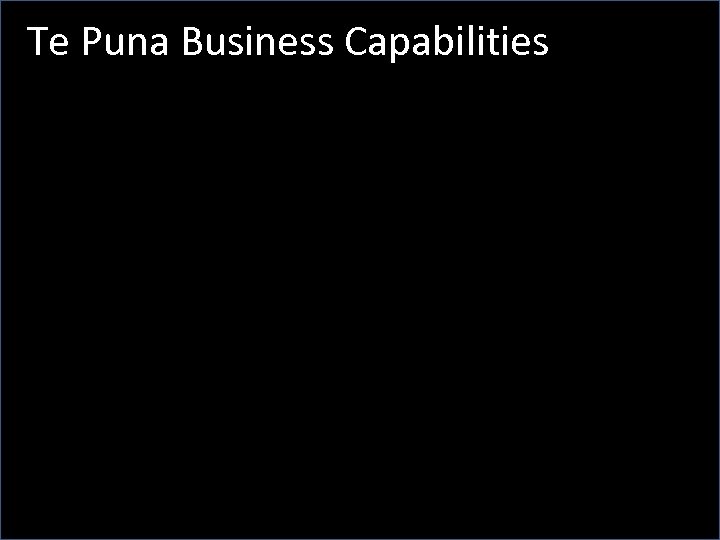 Te Puna Business Capabilities 