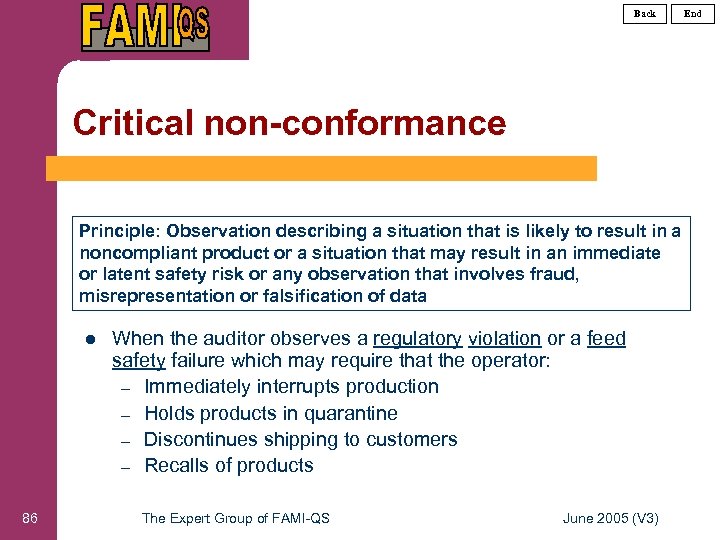 Back Critical non-conformance Principle: Observation describing a situation that is likely to result in