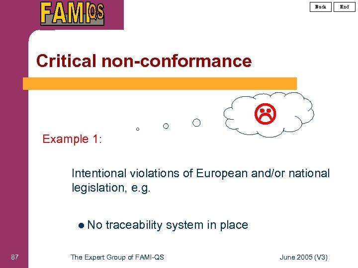 Back Critical non-conformance Example 1: Intentional violations of European and/or national legislation, e. g.