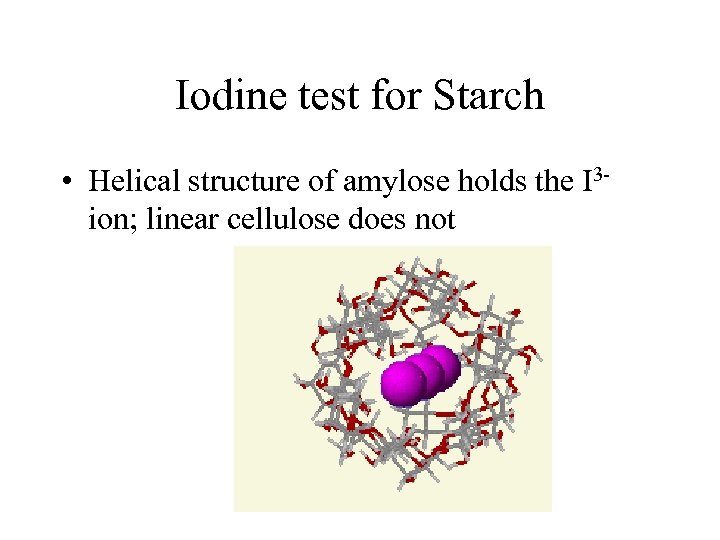 Iodine test for Starch • Helical structure of amylose holds the I 3 -