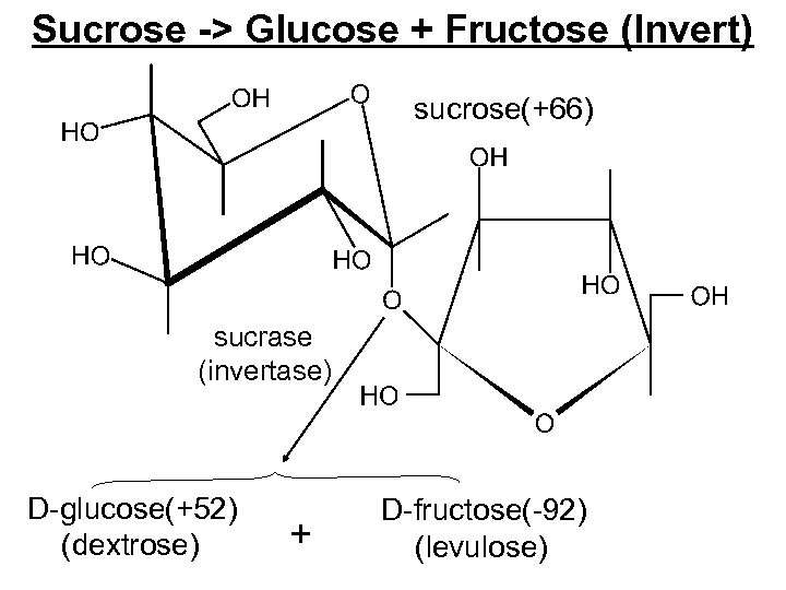 Sucrose -> Glucose + Fructose (Invert) sucrose(+66) sucrase (invertase) D-glucose(+52) (dextrose) + D-fructose(-92) (levulose)