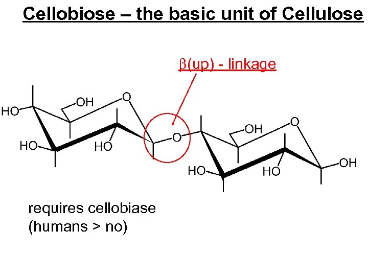 Cellobiose – the basic unit of Cellulose (up) - linkage requires cellobiase (humans >